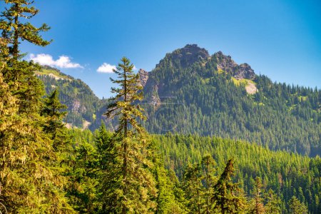 Photo for Amazing view of Mount Rainier National Park in summer season, Washington - USA. - Royalty Free Image