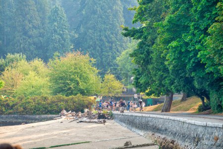 Photo for Vancouver from Stanley Park on a sunny day. - Royalty Free Image