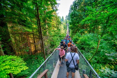 Photo for Capilano Bridge Park on a sunny summer day, North Vancouver, Canada. - Royalty Free Image