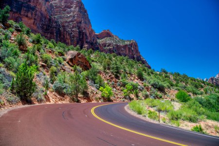 Photo for Road across Zion National park, Utah. - Royalty Free Image
