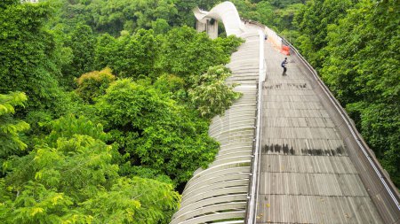 Téléchargez les photos : Vue aérienne du pont Henderson Waves à Singapour. - en image libre de droit