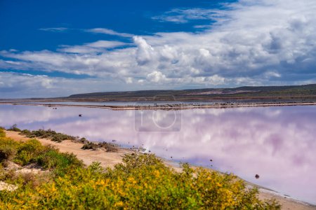 Photo for Colors and reflections of Pink Lake, Port Gregory. Western Australia. - Royalty Free Image