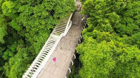 Photo for Aerial view of Henderson Waves Bridge in Singapore. - Royalty Free Image