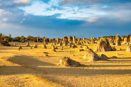 Photo for Lunar lanscape of the Pinnacles Desert at Nambung National Park, Western Australia at sunset. - Royalty Free Image
