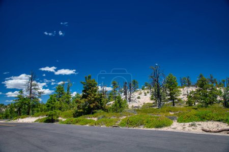 Téléchargez les photos : Route traversant le parc national de Bryce Canyon, Utah
. - en image libre de droit