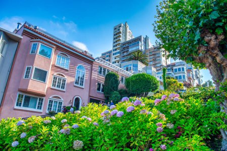 Téléchargez les photos : San Francisco, CA - 5 août 2017 : Lombard Street par une journée ensoleillée d'été. - en image libre de droit