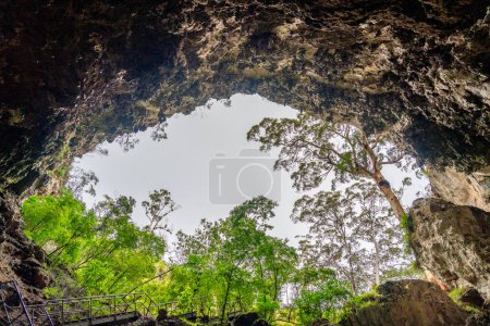 Foto de Entrada de la Cueva del Lago, Australia Occidental. - Imagen libre de derechos