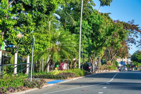 Photo for Port Douglas, Australia - August 21, 2009: Road surrounded by beautiful trees. - Royalty Free Image