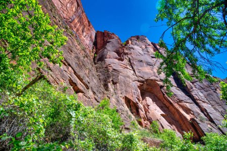 Photo for Red Mountains of Zion National Park on a summer day, Utah. - Royalty Free Image