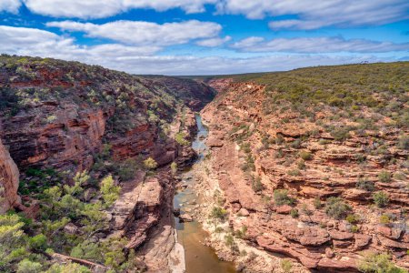 Téléchargez les photos : Sentier fluvial jusqu'à la rivière Murchison dans le parc national de Kalbarri, Australie occidentale. - en image libre de droit