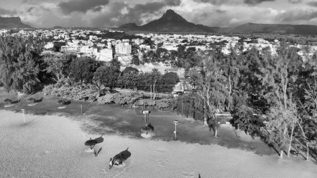 Aerial view of mountains and trees from Flic en Flac Beach, Mauritius Island.