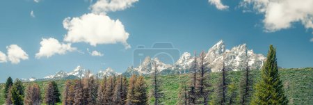 Photo for Grand Teton National Park in autumn season. Panoramic view of forest and mountains. - Royalty Free Image