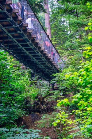 Téléchargez les photos : Parc du pont Capilano par une journée ensoleillée d'été, North Vancouver, Canada. - en image libre de droit