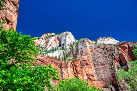 Parque Nacional Montañas Rojas de Zion en un día de verano, Utah.