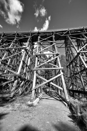 Photo for Amazing view of Kinsol Trestle Bridge in Vancouver Island - Canada - Royalty Free Image
