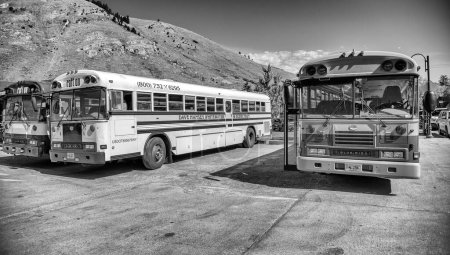 Foto de Jackson Hole, WY - 11 de julio de 2019: Autobuses públicos en el aparcamiento. - Imagen libre de derechos