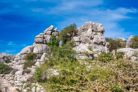 Téléchargez les photos : Paysage karstique de Torcal de Antequera en Andalousie. Grande vallée avec végétation méditerranéenne entourée de parois rocheuses verticales en calcaire - en image libre de droit