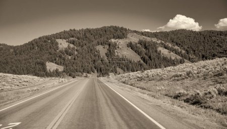Téléchargez les photos : Route vers le parc national du Grand Teton en saison estivale. - en image libre de droit
