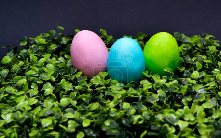 Foto de Huevos de Pascua verdes azules y rosados en la hierba. - Imagen libre de derechos