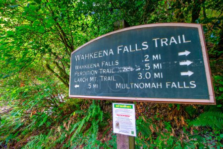 Téléchargez les photos : Wahkeena Falls, gorge du fleuve Columbia - Oregon. - en image libre de droit