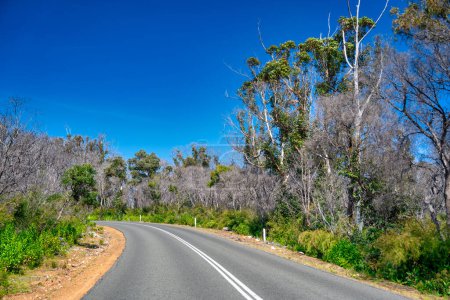 Foto de Conduciendo por la costa de Australia Occidental, Boranup. - Imagen libre de derechos