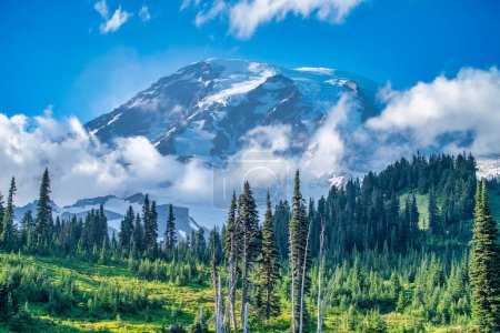 Foto de Increíble vista del Parque Nacional Monte Rainier en temporada de verano, Washington - Estados Unidos. - Imagen libre de derechos