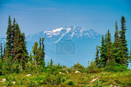 Foto de Silbador paisaje de montaña en la temporada de verano, Canadá. - Imagen libre de derechos
