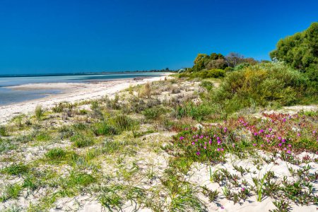 The beautiful beach of Busselton on a sunny morning, Western Australia.