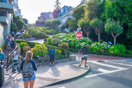 Photo for San Francisco, CA - August 5, 2017: Lombard Street on a sunny summer day. - Royalty Free Image