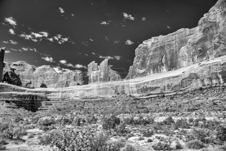 Téléchargez les photos : Vue imprenable sur le parc national des Arches, Utah en saison estivale. - en image libre de droit