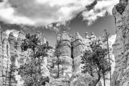 Photo for Amazing landscape of Bryce Canyon National Park in summer season, Utah. - Royalty Free Image
