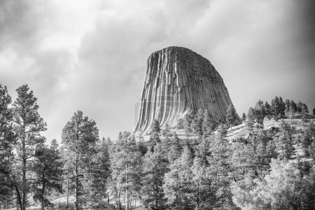 Photo for Beautiful summer colours of Devils Tower, Wyoming. - Royalty Free Image