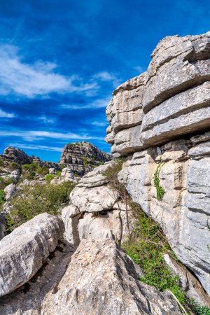 Photo for Karst landscape of Torcal de Antequera in Andalusia. Large valley with Mediterranean vegetation surrounded by vertical limestone rock walls - Royalty Free Image