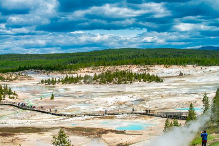Photo for Norris Geyser Basin, Yellowstone National Park. - Royalty Free Image