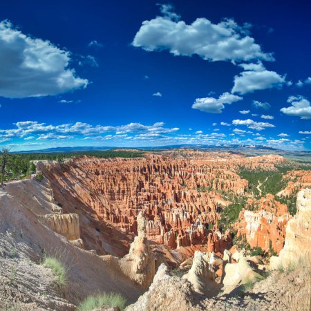 Amazing panoramic view of Bryce Canyon in summer season.