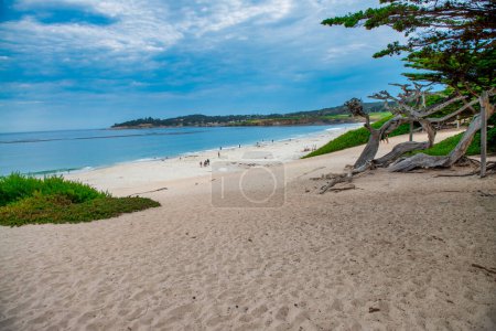 Photo for Carmel Bay on a cloudy day. - Royalty Free Image