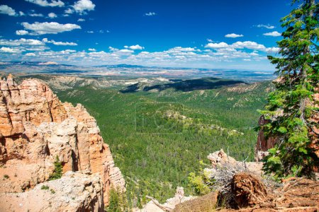 Téléchargez les photos : Paysage incroyable du parc national de Bryce Canyon en saison estivale, Utah. - en image libre de droit