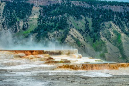 Foto de Mamut Hot Springs, Parque Nacional de Yellowstone. - Imagen libre de derechos