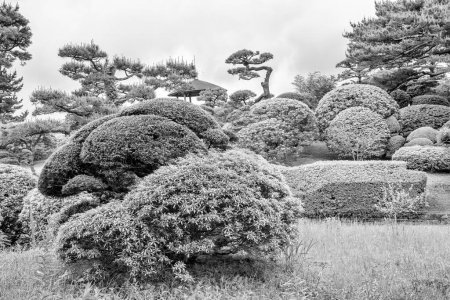 On-Shi Hakone Park, garden and plants. Japan.