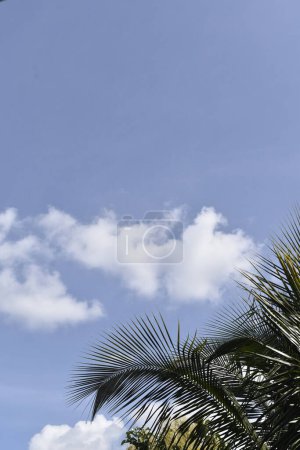 Foto de Clean Sky antes de la temporada de lluvias - Imagen libre de derechos
