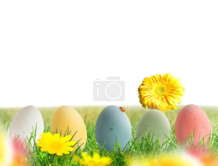 Téléchargez les photos : Œufs de Pâques sur la prairie avec des fleurs - en image libre de droit