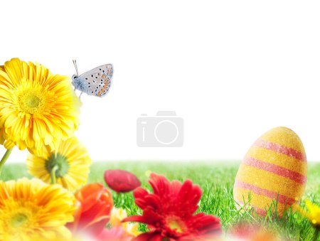 Foto de Decoraciones de Pascua con huevos en un campo verde - Imagen libre de derechos