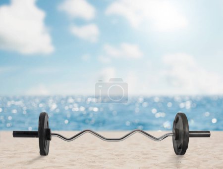 Téléchargez les photos : Barbell courbé dans une plage propre et ensoleillée - en image libre de droit