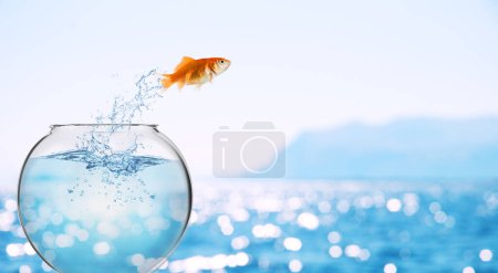 Téléchargez les photos : Poisson rouge saute de l'aquarium pour se jeter dans l'océan - en image libre de droit