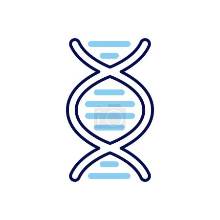 Illustration for DNA related vector line icon. DNA helix linear icon. Deoxyribonucleic, nucleic acid structure. Chromosome. Molecular biology. Genetic code. Isolated on white background. Vector illustration - Royalty Free Image