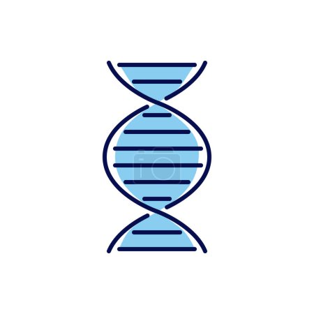 Illustration for DNA related vector line icon. DNA helix linear icon. Deoxyribonucleic, nucleic acid structure. Chromosome. Molecular biology. Genetic code. Isolated on white background. Vector illustration. Editable stroke - Royalty Free Image