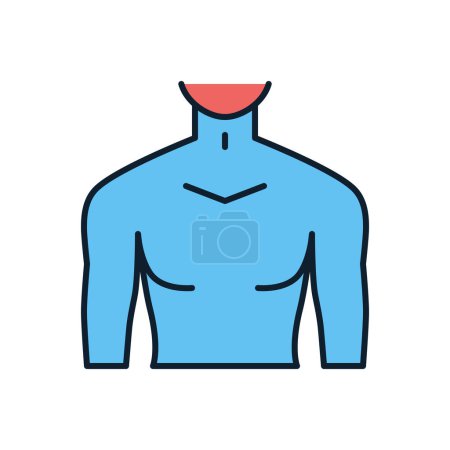 Ilustración de Icono vectorial relacionado con el torso masculino. Signo de torso masculino. Aislado sobre fondo blanco. Ilustración vectorial editable - Imagen libre de derechos