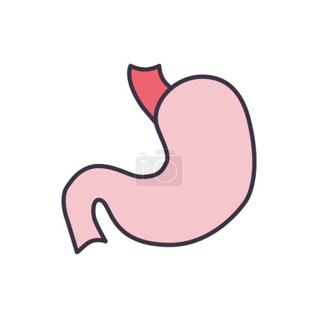 Illustration for Stomach Vector Icon. Isolated on the White Background. Editable EPS file. Vector illustration - Royalty Free Image