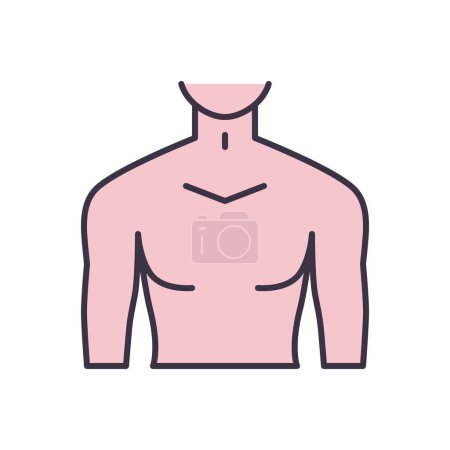 Ilustración de Icono vectorial relacionado con el torso masculino. Signo de torso masculino. Aislado sobre fondo blanco. Ilustración vectorial editable - Imagen libre de derechos