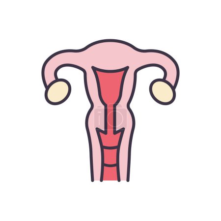 Ilustración de Uterus Related Vector Line Icon. Aislado sobre fondo blanco. Carrera Editable - Imagen libre de derechos